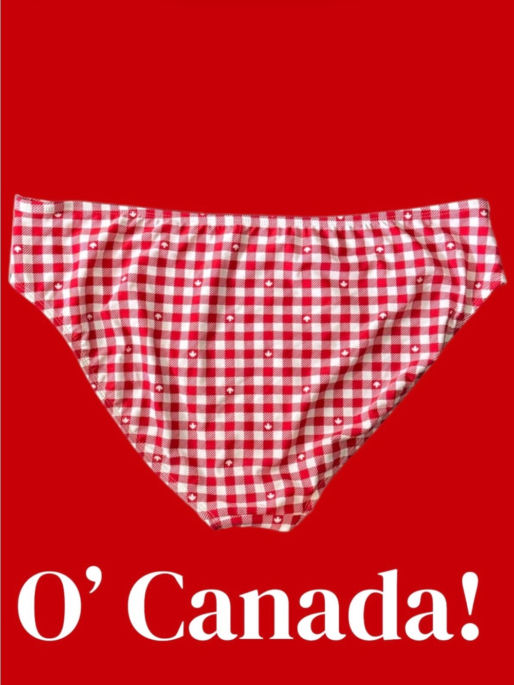Free | Red and White Gingham Bikini Bottoms